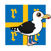 Great Black-backed Gull of Rauma Finland