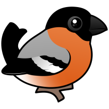 Male Bullfinch