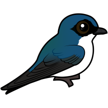 Birdorable Tree Swallow
