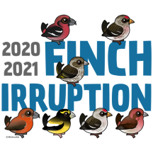 2020-2021 Finch Irruption