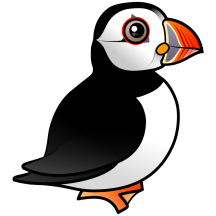 Atlantic Puffin
