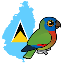 Saint Lucia Amazon Map
