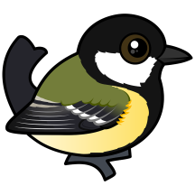 Great Tit
