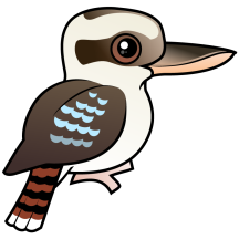 Laughing Kookaburra