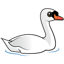 Mute Swan