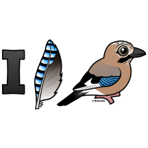 I Love Eurasian Jays