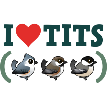 I Love Tits (birds)