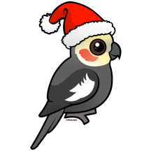 Cockatiel Santa