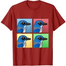 Four Color Woodhouse's Scrub-Jay