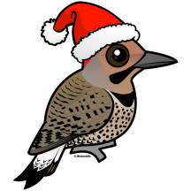 Northern Flicker Santa Claus (yellow shafted)