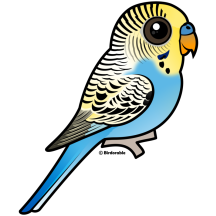 Customizable Blue & Yellow Budgie