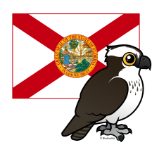 State Birdorable of Florida: Osprey