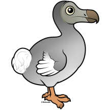 Dodo