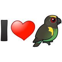 I Love Meyer's Parrots
