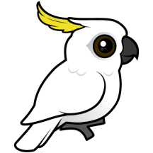Sulphur-crested Cockatoo crest down