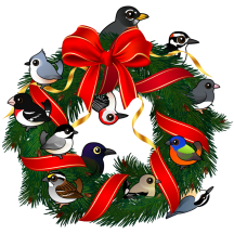Birdorable NA Backyard Birds Christmas Wreath