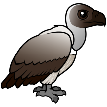 White-backed Vulture