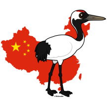 Red-crowned Crane of China