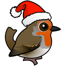 European Robin Santa Claus