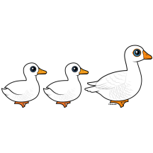Duck Duck Goose Domestic
