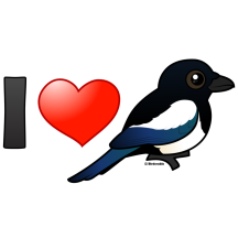 I Love Magpies