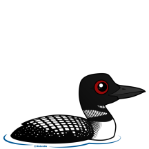 Loon Ranger