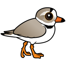 Birdorable Piping Plover
