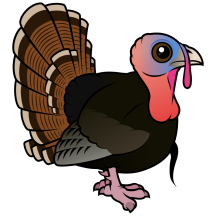 Wild Turkey