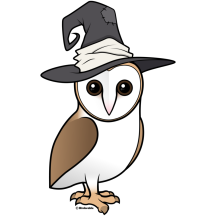 Barn Owl Witch