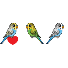 I Love Budgies