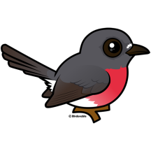 Rose Robin