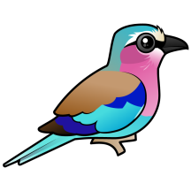 Lilac-breasted Roller