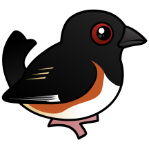 Eastern Towhee