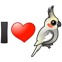 I Love Spangled Cockatiels