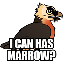 I Can Has Marrow?