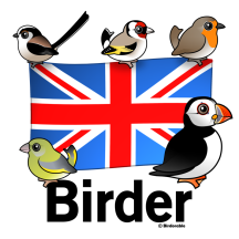 UK Birder