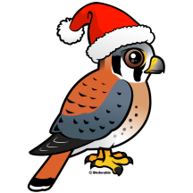 American Kestrel Santa