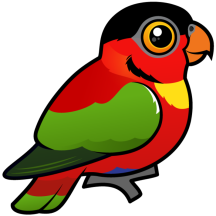 Yellow-bibbed Lory