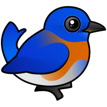 Western Bluebird