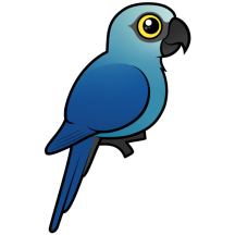 Spix's Macaw
