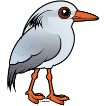 Kagu