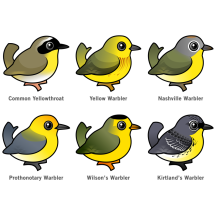 6 Birdorable Warblers