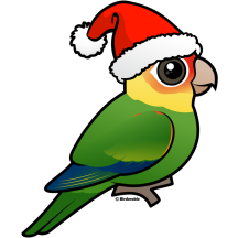 Santa Carolina Parakeet