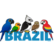 Birdorable Brazil
