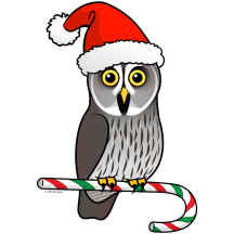 Great Grey Owl Santa