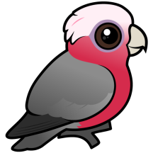 Birdorable Galah (crest down)