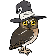 Elf Owl Witch