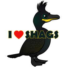 I Love Shags