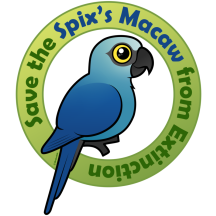 Save the Spix's Macaw from Extinction