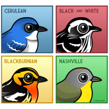 Four Color Warblers